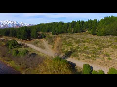 DJ Goja x Vanessa Campagna - Save Me (SOS) 🥳_256k🌴🌴