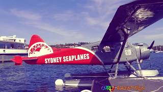 I am a little airplane 😍😍😍