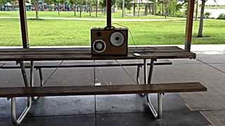 LuggTunes introduces &quot;Cracked Actor&quot;