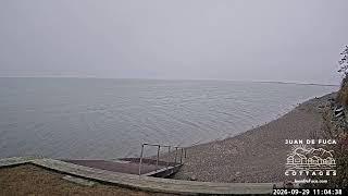 🌊 LIVE EAST Dungeness Bay Webcam from Juan de Fuca Cottages | Sequim WA Coastal Views 🦅🐟