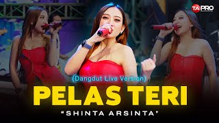 Download lagu Shinta Arsinta - Pelas Teri (Live Dangdut Lembayung Music) | Pelas Teri Dibuntel Godong mp3