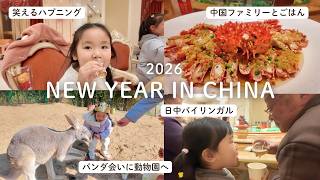 【中国南京生活】2026年始Vlog | 中国ファミリーの集まりとパンダ6頭見れる動物園へ🐼| 中国の中学生は大変だ | 新年快乐！中日夫妻带娃这样过元旦