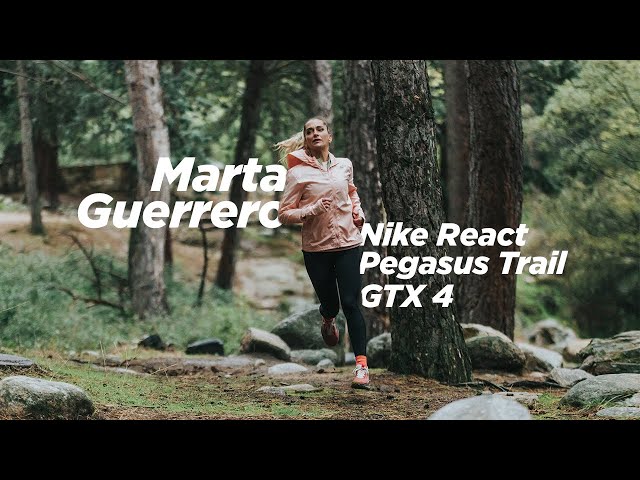 Vídeo relacionado con Nike Running Shoe Nike Pegasus Trail 4 Gore-Tex Zapatilla De Trail Running Impermeable para Hombre, Black/Anthracite-Velvet Brown, HM9728-002, 45 EU (11 US)