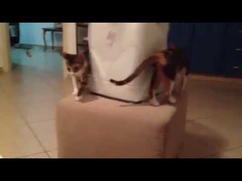 We can do this all day...