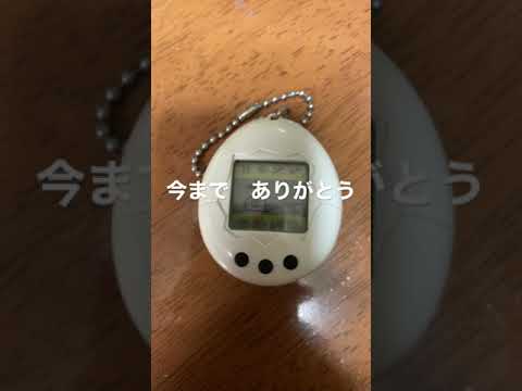 「Pou」:たまごっち風子供向けアプリが5億ダウンロードを達成