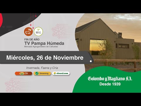 2025.11.26 Remate TV Fin de año Pampa Húmeda