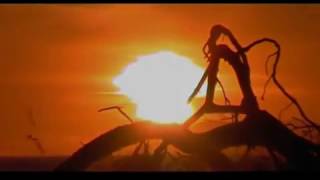 Leonard Cohen   I Can&#39;t Forget