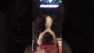 MuffinNola: Blue Punch