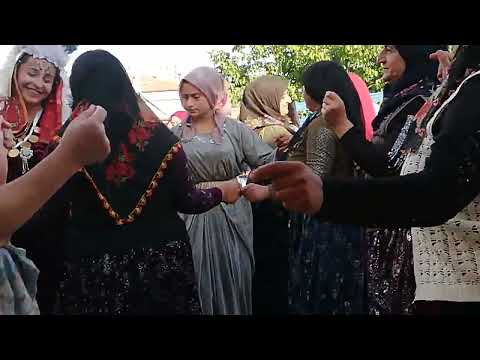 Müzisyen Özlem Ökten AKŞEHİR düğünleri Karahüyük Tepeköy mahallesinden Feti & Sümeyra Turğut çiftin