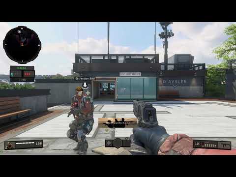 Call of Duty: Black Ops 4 - I love these kind of teammates