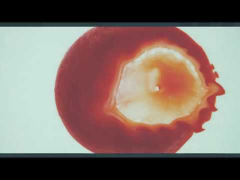 Vortex Mechanic - Futility of Existence