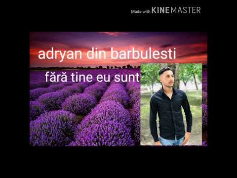 Adryan din barbulesti-fără tine eu sunt 2019