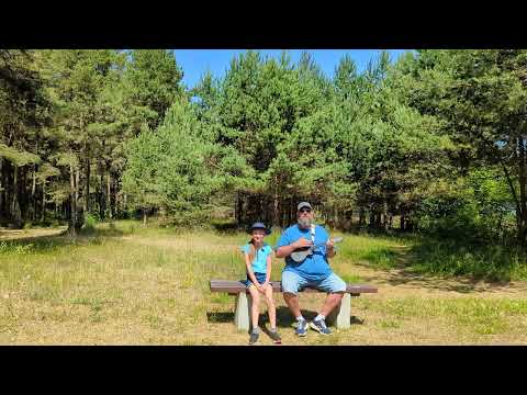 Cekulaina zīle dzied