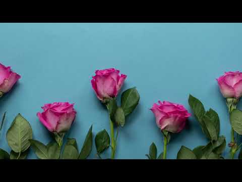 Maneno ya kuomba msamaha kwa mpenzi wako