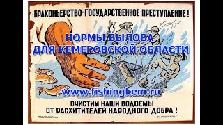 Ссылка