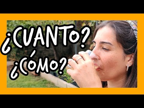 Descubre cómo tomar kéfir para adelgazar de forma efectiva | Actualizado septiembre 2023