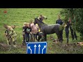 Brandweer haalt paard uit sloot bij Almeersemanege
