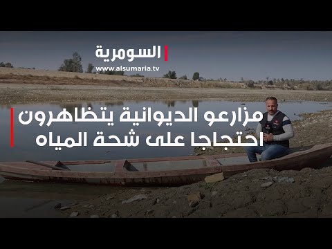 شاهد بالفيديو.. مزارعو الديوانية يتظاهرون احتجاجا على شحة المياه
