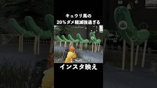 キュウリ馬のダメ軽減20％はどれだけ耐えられるか検証　#荒野行動