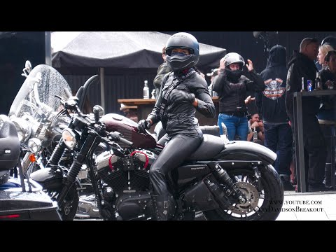 Harley-Davidson Sportster Rider #harleydavidson #harleygirl #harley #exhaust #motorcycle #sportster