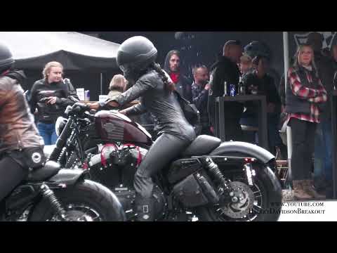 Harley-Davidson Sportster Rider #harleydavidson #harleygirl #harley #exhaust #motorcycle #sportster