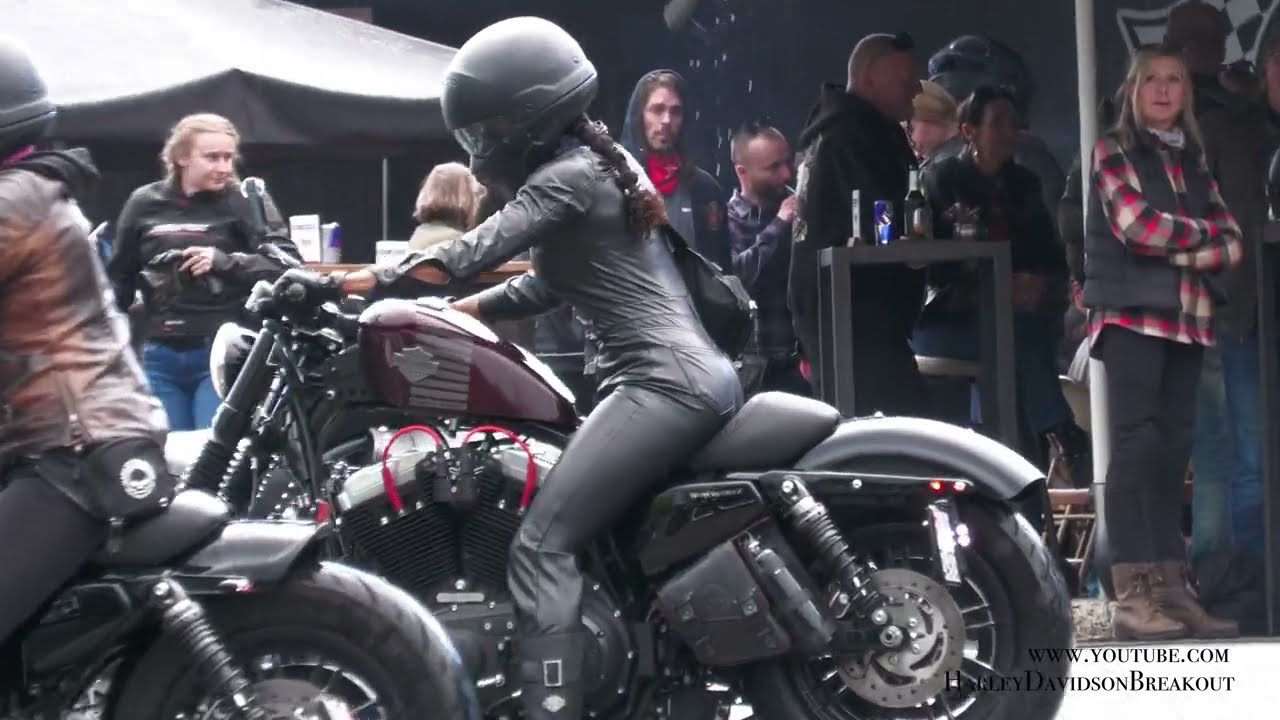 Harley-Davidson Sportster Rider