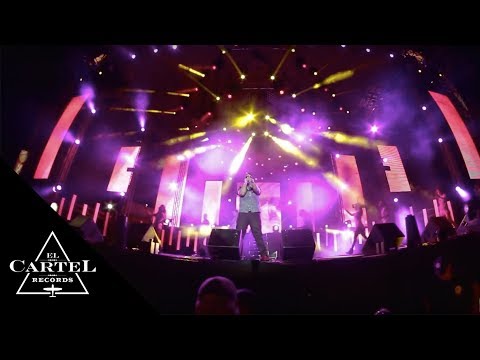 Daddy Yankee - Guatemala 2013 (Live)