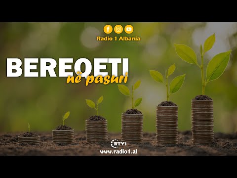 Si ta shtojmë bereqetin në pasuri