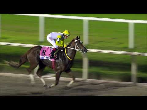 210606 c08  DISTAFF/ TRES BOTAS