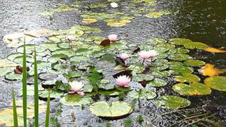 C'était l'hiver ~Francis Cabrel~ (English Translation)