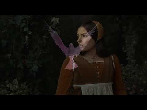 Mira Peić -  Volelo se dvoje mladih