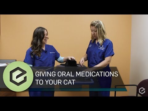 Giving Oral Medications to Your Cat