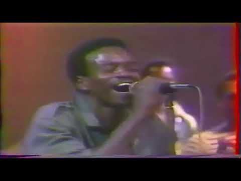 Minzoto Wella Wella 1981