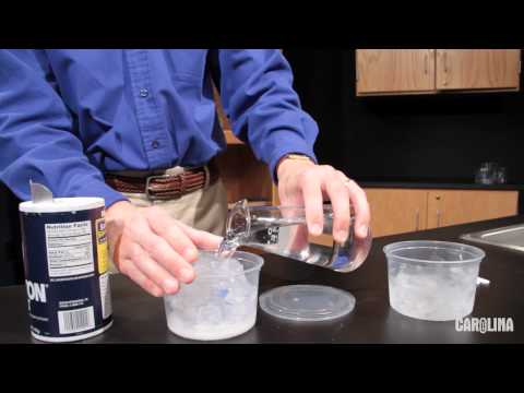 Ice Cream and Freezing Point Depression: A Carolina ChemKit