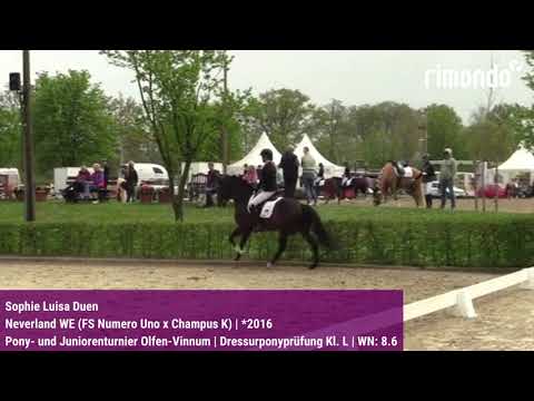 BuCha-Quali Pony- und Juniorenturnier Olfen-Vinnum – Sophie Luisa Duen & Neverland WE