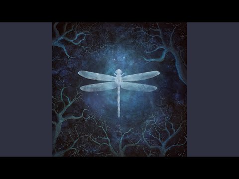 Dreamdance (20th Anniversary Edition)