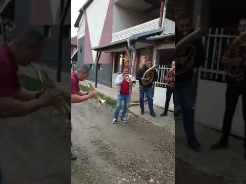 Pirotski Trubaci BRASS BAND