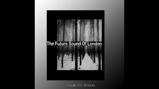 The Future Sound of London - Music for 3 Books [2021] [Album]