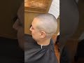 Bald Queen The Bald Barbie