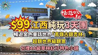 【試伏旅行團】$99江西3天純玩團實測!穿越拍微電影、賞白水仙瀑布|打卡千年銀杏樹|暢遊假期|臥底旅行團|港人四周遊