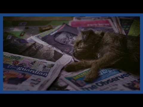 Own The Weekend with the Guardian and Observer