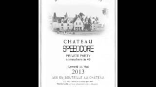 11 05 13 #06 Helius Zhamiq vs Chiendelacasse   Live @ Château Speedcore 2013