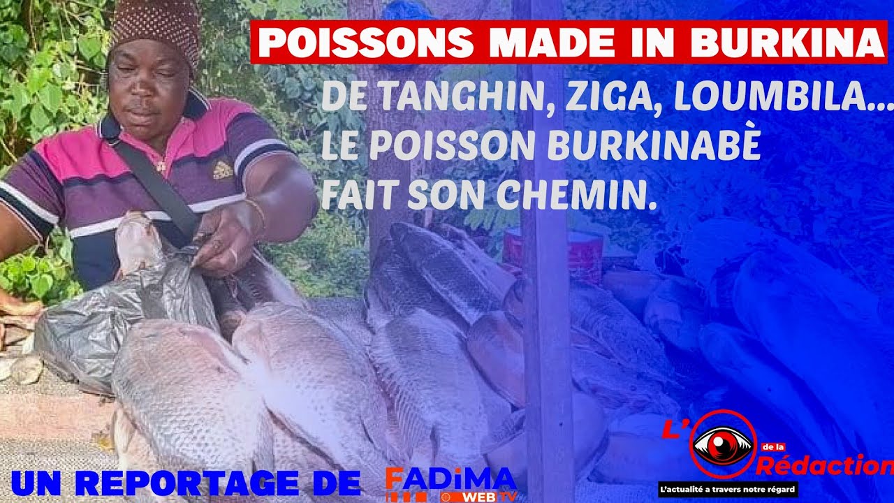 Tanghin : au bord du barrage, la vente de poisson fait vivre des familles