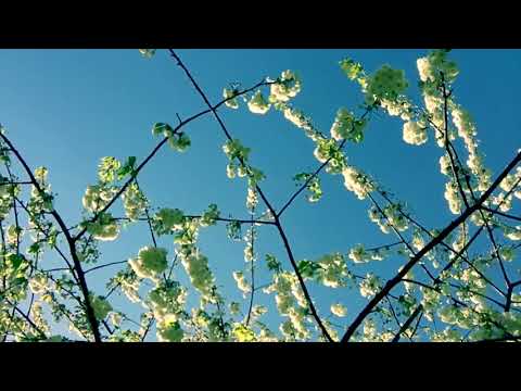 Kazuo Uehara (上原和夫) - 'Spring' (Prologue) (～春のプロローグ)