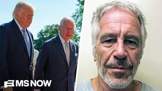 'Another slap in the face': Oversight Dem on King Charles refusing to meet with Epstein survivors