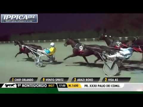 Chief Orlando Palio Dei Comuni Montegiogiorgio 22 11 2020