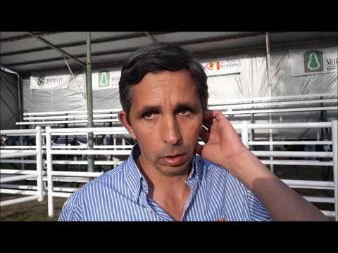 REMATE DE ALFREDO S.  MONDINO -  NOTA A FRANCISCO GARIN