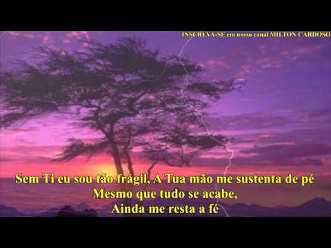 Milton Cardoso - Tu podes (LYRIC)