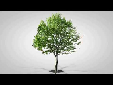 Roy Gates vs. Euroxtrm - The world keeps spinning (Alternate vocal edit) Fan xtrm video