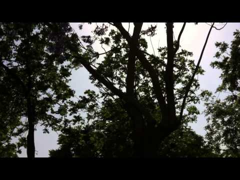 Tasteful House - "Day & Night" (My Egypt Memories 2014)